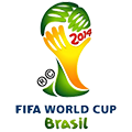 2014 - Világbajnokság