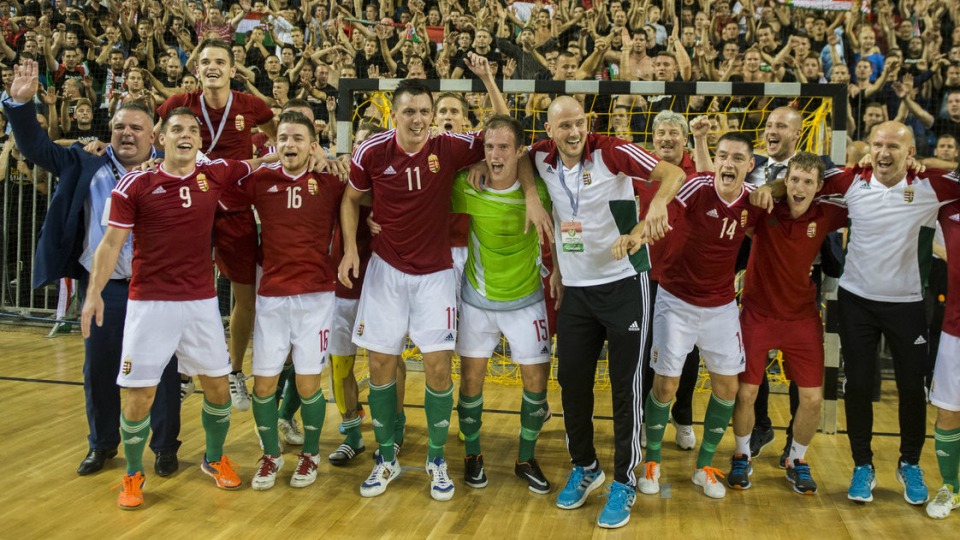 Futsal 2015: sikeres év, Eb-kvalifikációval
