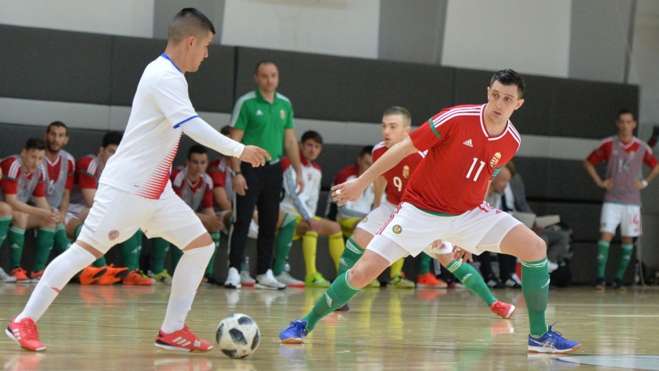 Futsal: Csehországban mérik össze erejüket a Visegrádi Négyek