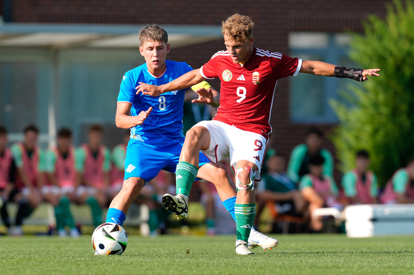 Egy korai góllal nyert Izland a Telki Kupán