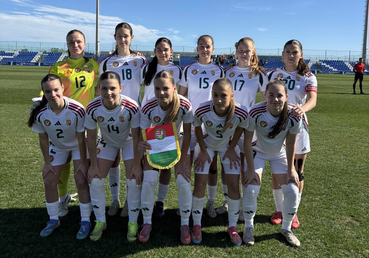 Vereség Írország ellen